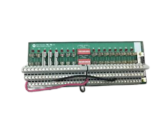 ALLEN BRADLEY 1492-AIFM16-F-5 ANALOG INTERFACE MODULE